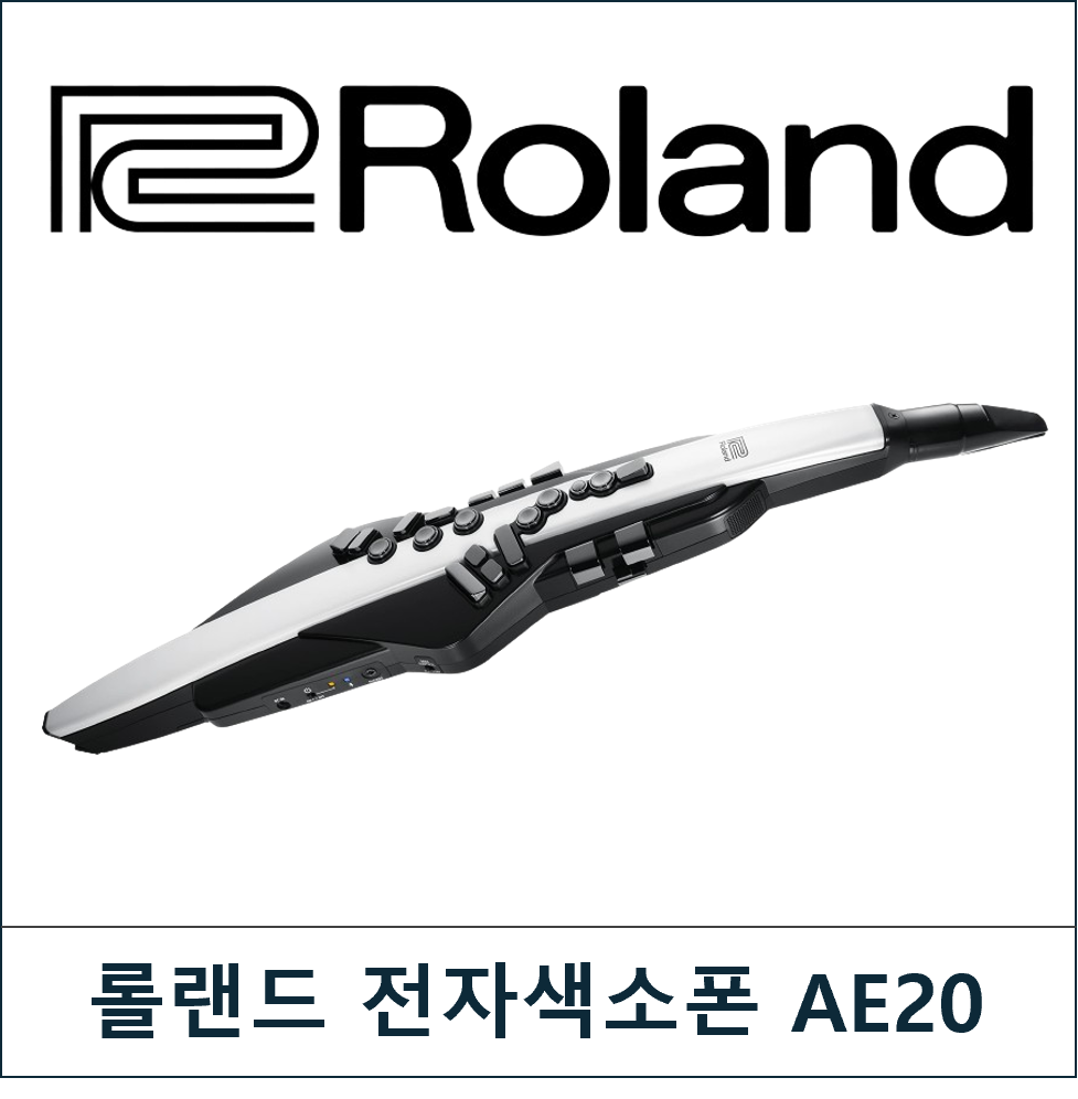 ROLAND (롤랜드)AE20 블랙/화이트